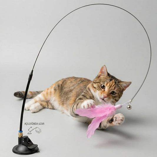 Kedi Eğlence Oltası - Vantuzlu