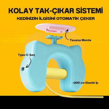 Kedi Eğlence Oltası - Şarjlı