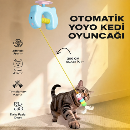 Kedi Eğlence Oltası - Şarjlı