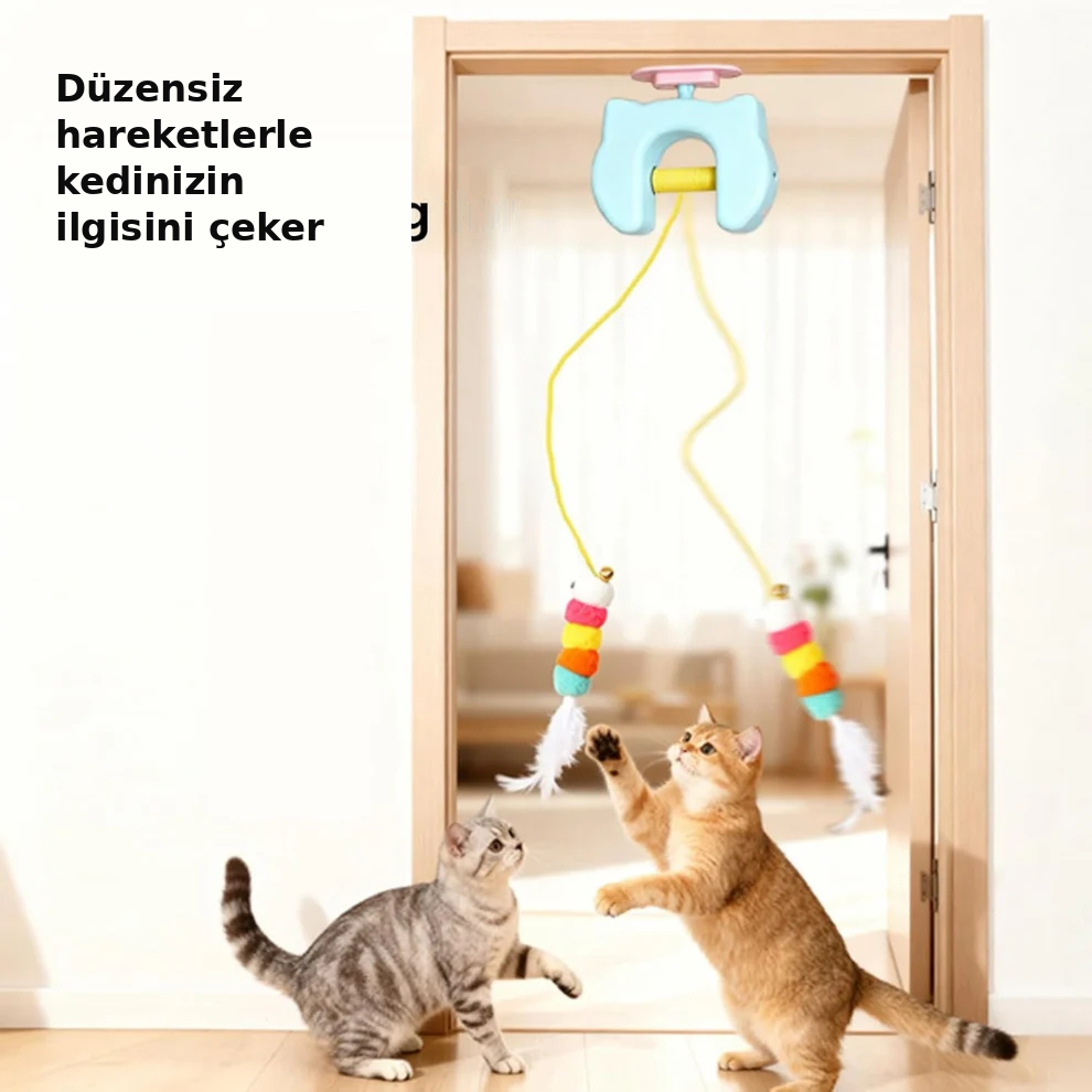 Kedi Eğlence Oltası - Şarjlı