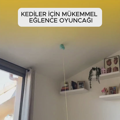 Kedi Eğlence Oltası - Şarjlı